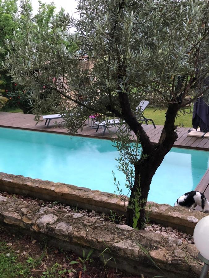 Bed and Breakfast Marquis De Carrou Rochefort-Sanson Esterno foto